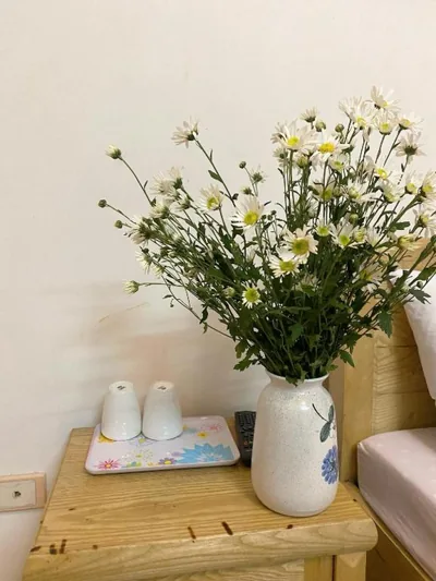 Cozy Home Ha noi – Foto’s 11